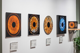 Eye Origin Soho