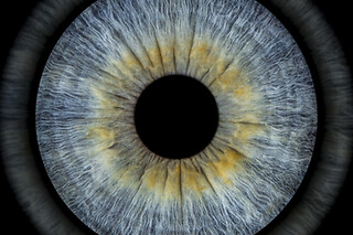 Eye Origin Soho