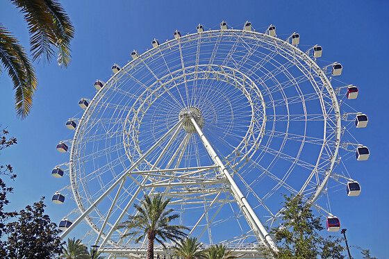 3 days in Orlando
