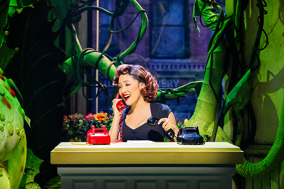 Little Shop Of Horrors The Broadway Show PACKAGE