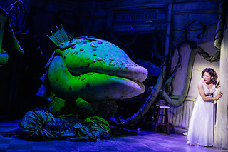 Little Shop Of Horrors The Broadway Show PACKAGE