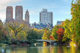 Your New York Story