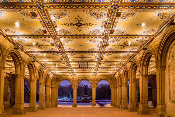 Luxury night in New York