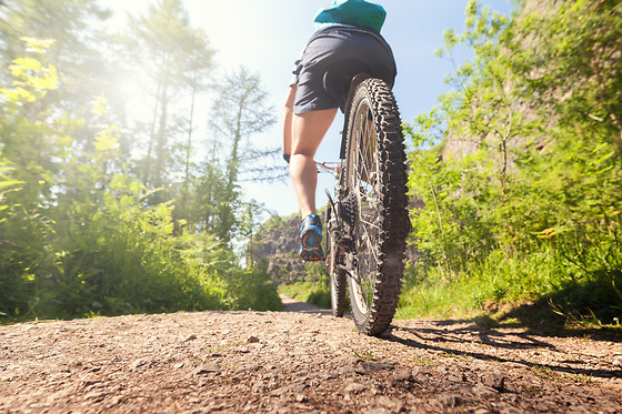 Bike Rental DAYPASS at Unlimited Biking New York