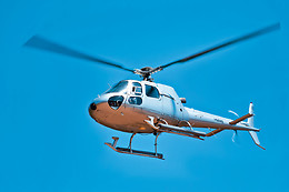 Heli NY
