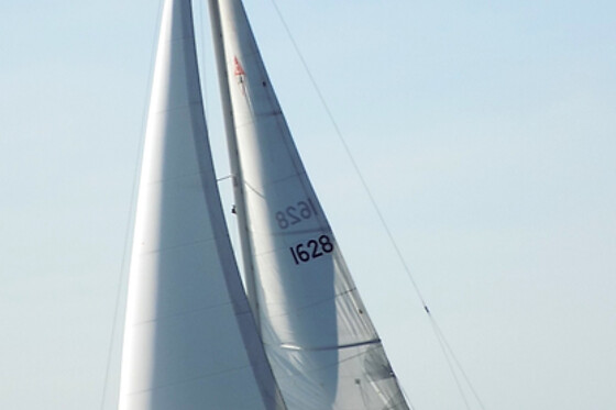 Champagne and Sail at Brooklyn Sail LLC