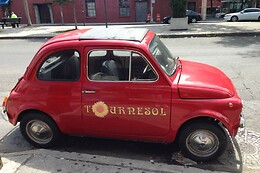 Tournesol