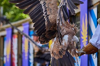 Puy du Fou - 2 Tickets