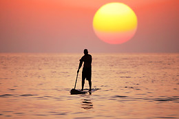 Surfs Up NY