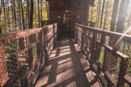 Vertical Horizons Treehouse