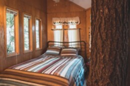 Vertical Horizons Treehouse