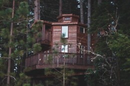 Vertical Horizons Treehouse