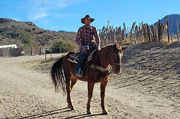 Desert Wonder Tours