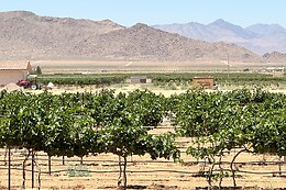 Desert Wonder Tours