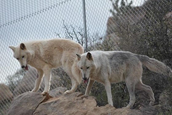 Desert Wonder Tours - photo 34