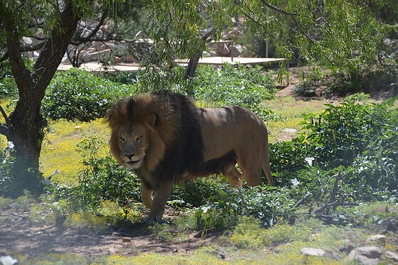 Desert Wonder Tours - photo 37