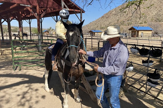 Desert Wonder Tours - photo 4