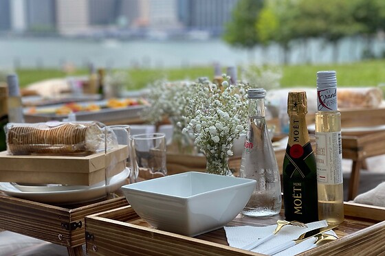 Picnic for 15 at PICNYC