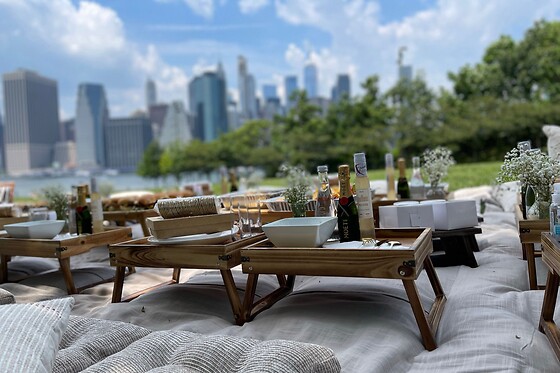 Picnic for 15 at PICNYC