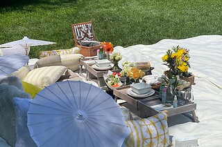 Picnic for 15 at PICNYC