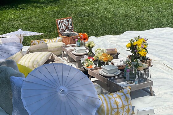 Picnic for 15 at PICNYC