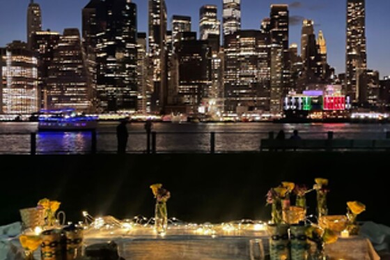 Picnic for 15 at PICNYC