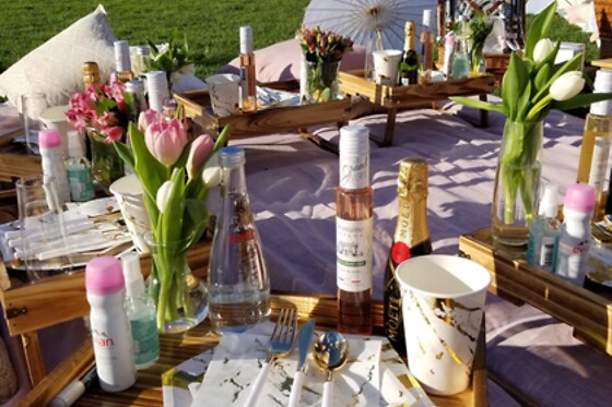Picnic for 15 at PICNYC