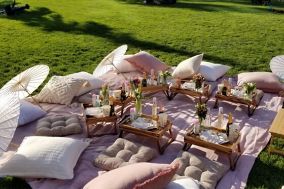 Picnic for 15 at PICNYC