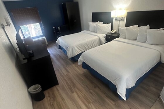 Online Booking EPS - photo 10