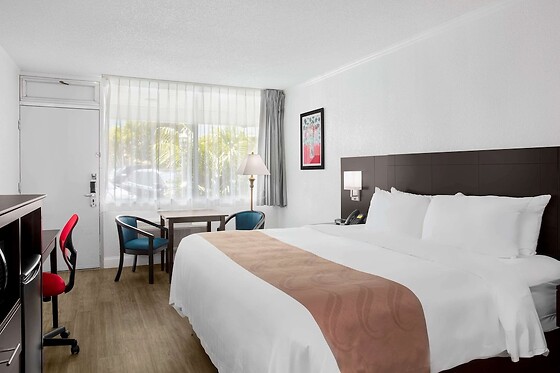 Online Booking EPS - photo 6