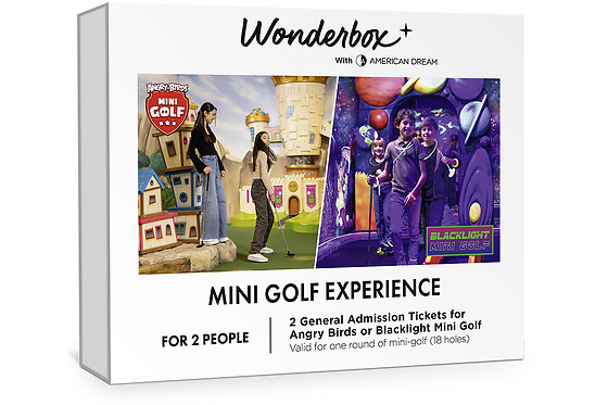Mini Golf Experience