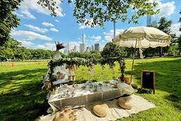 Bohemian Picnics NYC