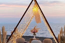 Bohemian Picnics NYC