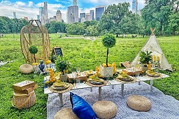 Bohemian Picnics NYC