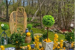 Bohemian Picnics NYC