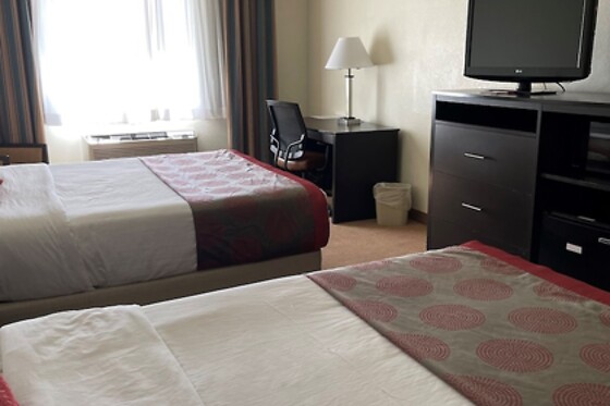 Online Booking EPS - photo 1