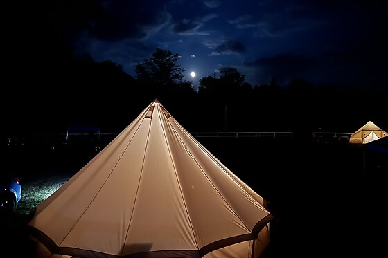 Adirondack Safari - photo 4