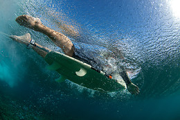 Surfs Up NY