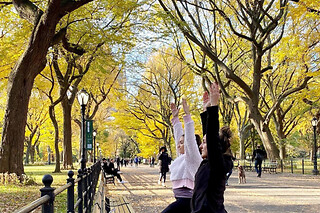 Sunrise Yoga Walk in Central Park for 5 people
