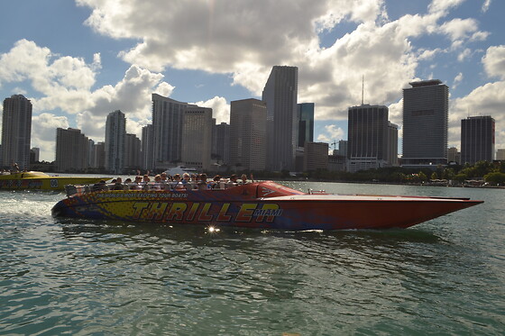 Thriller Miami - photo 2