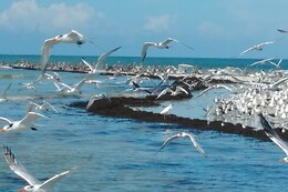 AQUATERRA EXCURSIONS