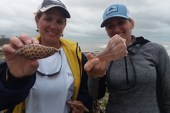 Dolphin, Birding and Shelling Tour