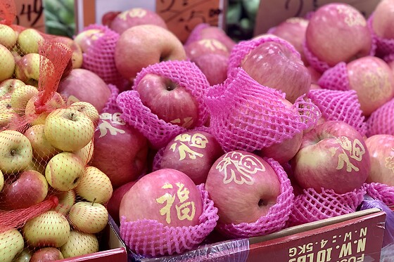 Group Chinese Food Tour in Flushing Queens: A Culinary Adventure