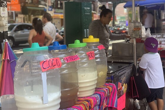 Group Chinese Food Tour in Flushing Queens: A Culinary Adventure