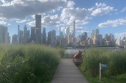 Your New York Story