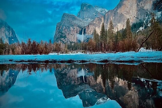 Semi Private Sequoia National Park Tour