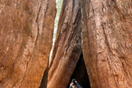 Authentic Adventures Central California