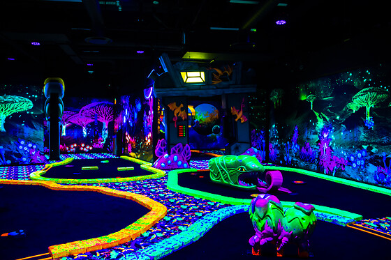 Mini Golf Experience